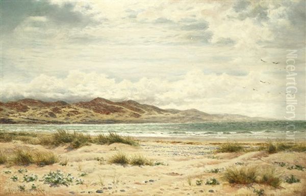 Aberdovey Bay, Wales - view 1