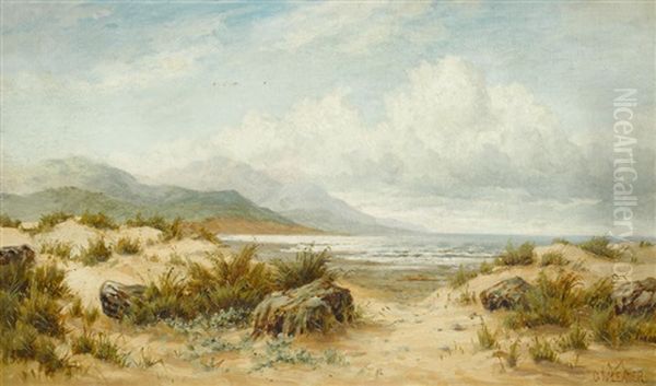 Sand Dunes By The Beach - view 1