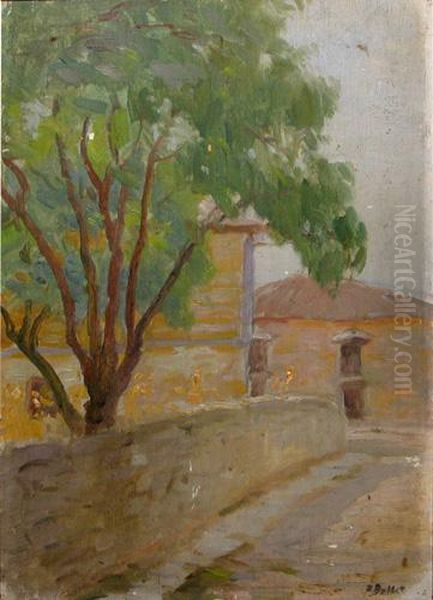 Strada Dobrogeana - view 1