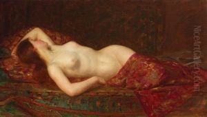 Sleeping Nude by Pierre Bellet