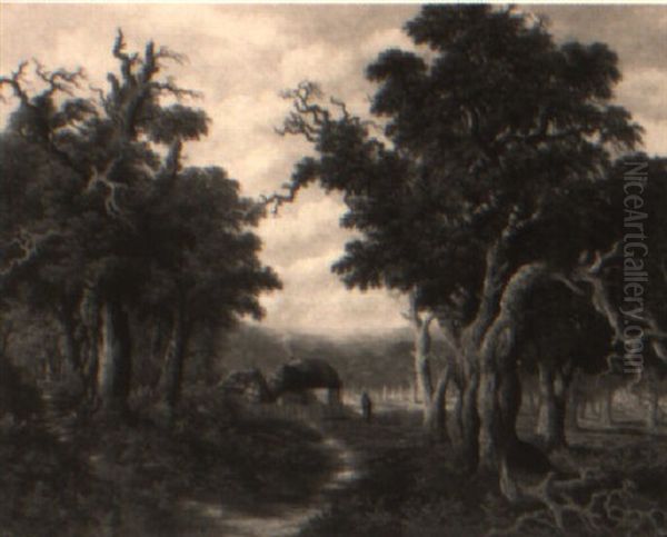 In The New Forest, Hampshire - view 1
