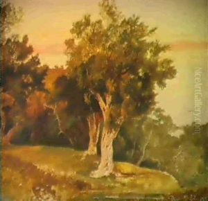 Olive Trees, Corfu
