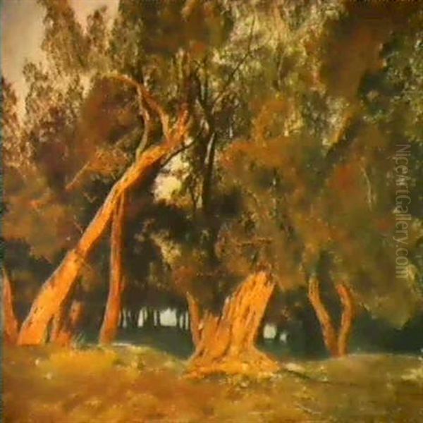 Olive Trees, Corfu - view 1