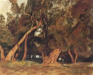 Olive Trees, Corfu by Edward Lear