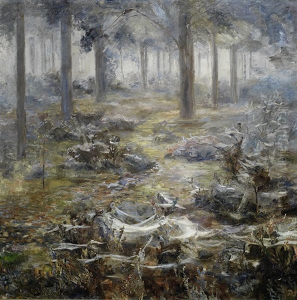A Cobwebbed Woodland - view 1