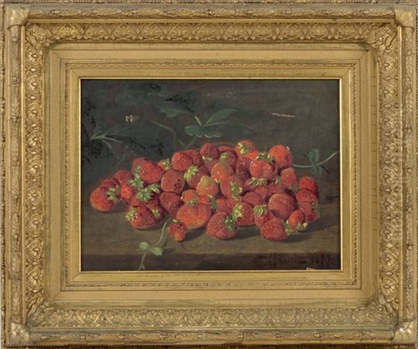 Study From Nature - view 1