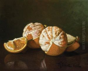 Still Life With Oranges