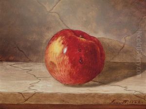 Still Life With Apple On A Marbletop Still Life With Apple On A Marbletop
