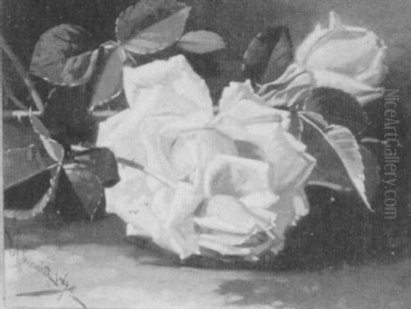 Roses - view 1