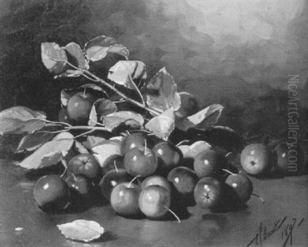 Crabapples - view 1
