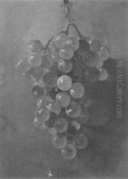 Hanging Grapes - view 1