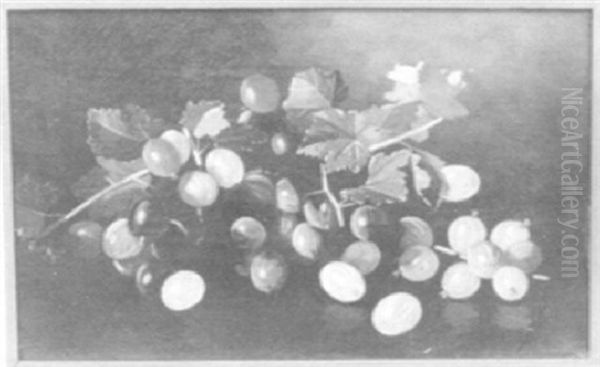 Bunch Of Grapes - view 1