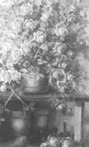 Roses And Clay Pots Roses And Clay Pots