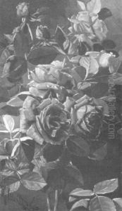 Pink Roses