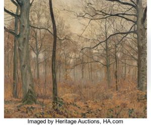 Conte De Fees (fairy Tale)
