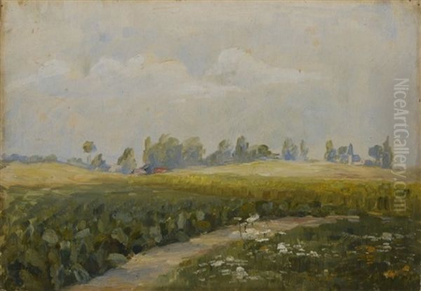 Summer Landscape - view 1