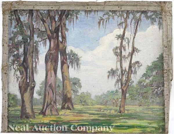 Louisiana Landscape With Moss Laden Cypress Trees - view 1
