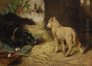 Wachhund Und Lamm Wachhund Und Lamm