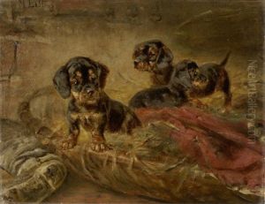 Welpen. Drei Dackelwelpen In Einem Korb Mit Laub Und Roter Decke Stehend Und In Verschiedene Richtungen Blickend by Max Ludwig Lebling