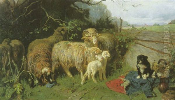 Schafe, Lammer Und Hund Am Weidegatter - view 1