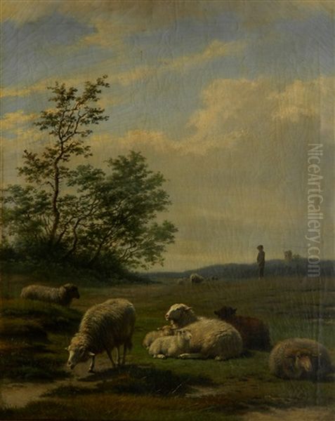 Sheep In Landscape - view 1