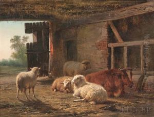 Resting Sheep And Cow In A Sunlit Barn