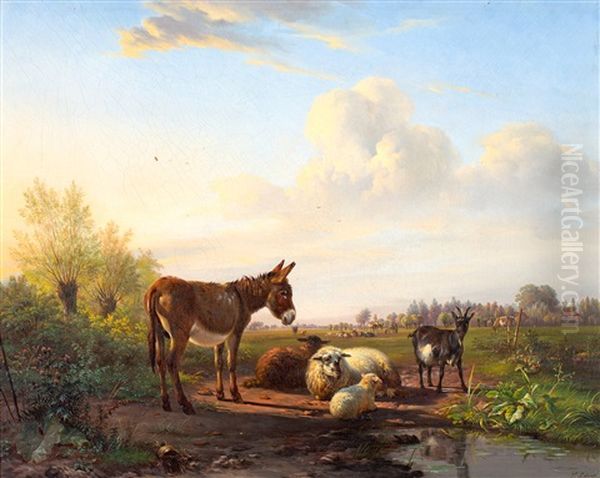 Ezel, Schapen En Geit Bij Een Voorde - view 1