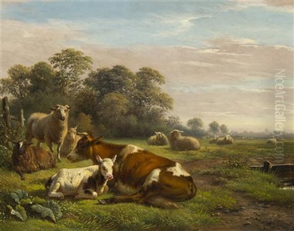 Cattle And Sheep In Meadow - view 1