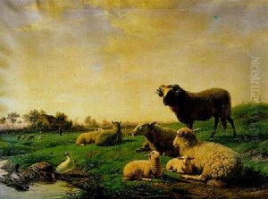Sheep Resting In A Sunlit Landscape With Ducks By A Stream