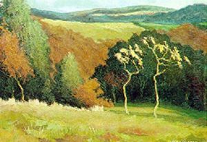 Environs De Bomal Au Printemps