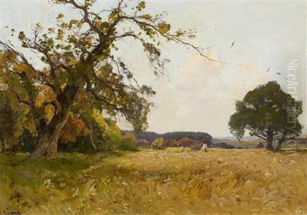 Weite, Sommerliche Feldlandschaft - view 1