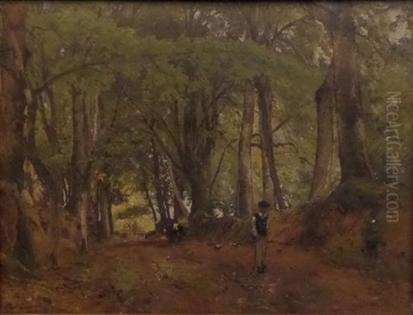Un Breton Sur Un Chemin De Sous-bois - view 1