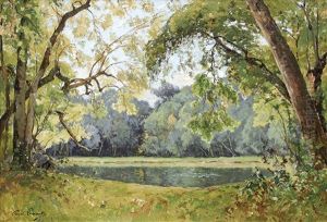 Forest Lake Forest Lake