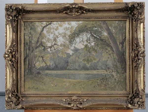 Waldlandschaft Mit Teich - view 1