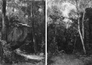 Waldlandschaft Waldlandschaft