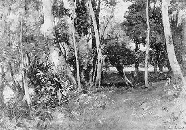 Paysage De Sous-bois - view 1