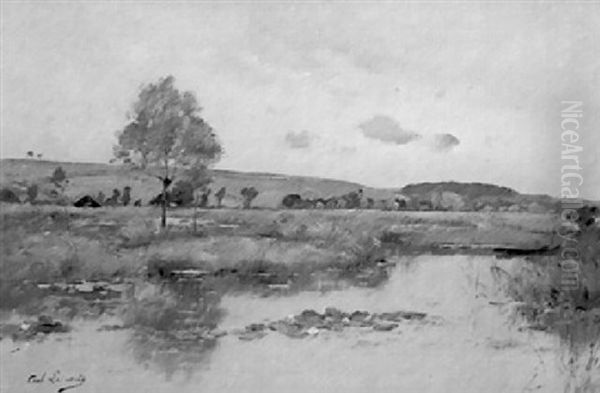 Les Nenuphars Dans Les Marais - view 1