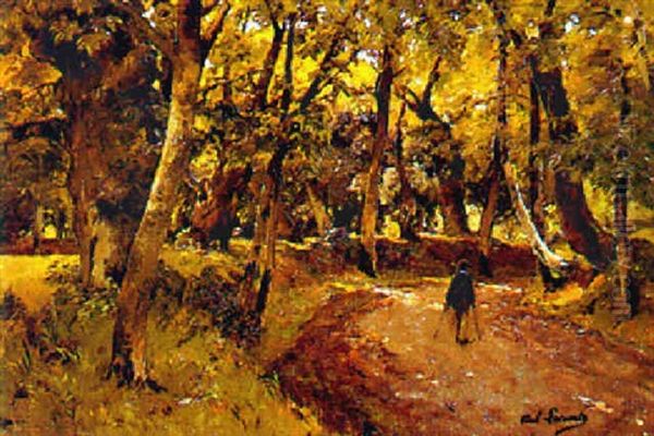 Promeneur En Foret - view 1