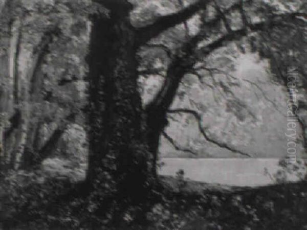 Paysage Fluvial - view 1