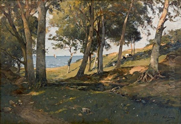 Paysage De Bord De Mer: Biarritz - view 1