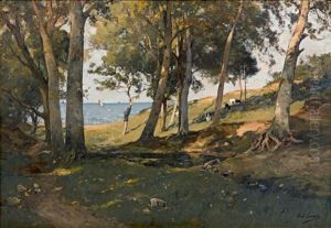 Paysage De Bord De Mer: Biarritz