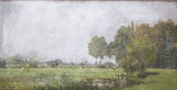 Clairiere Animee - view 1