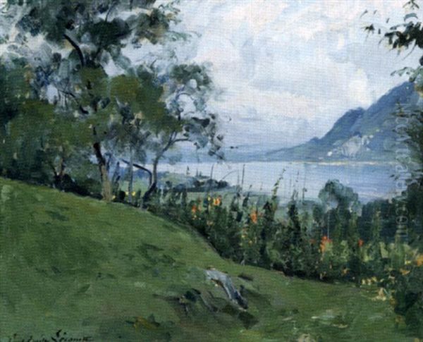 Temps Gris Sur Le Lac - view 1