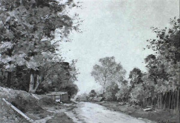 Route Dans Une Foret - view 1