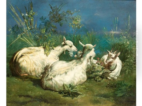 Drei Ziegen Und Ein Zicklein Auf Einer Wiese - view 1