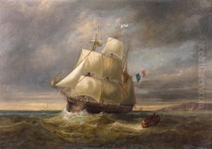 Marine Marine