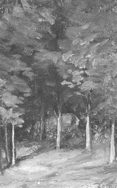 Sous-bois - view 1