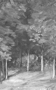 Sous-bois by Ozias Leduc