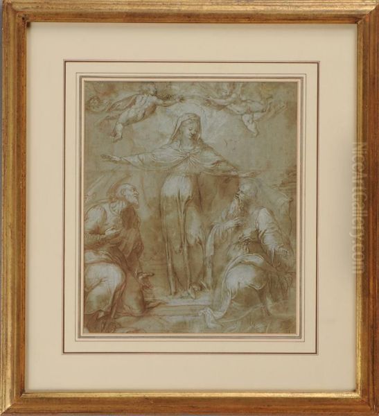 Mater Misericordiae - view 1