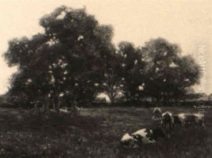 Cows In A Meadow